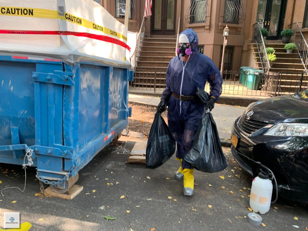 Asbestos abatement experts implementing safety protocols during removal