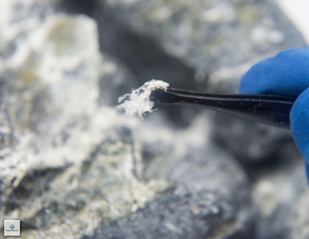 Inspector analyzing lab samples to confirm asbestos presence