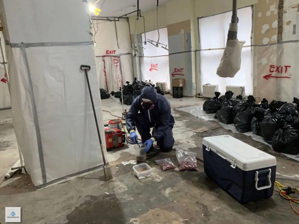 How Professional Home Inspections Uncover Asbestos